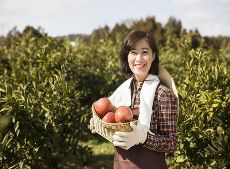 【潤(rùn)康】磨煤機(jī)磨輥與您分享：互聯(lián)網(wǎng)巨頭紛紛賣菜，農(nóng)民會(huì)不會(huì)被“割韭菜”？